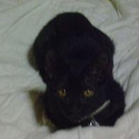 ネリネリ 会員画像