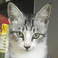 michwich 会員画像