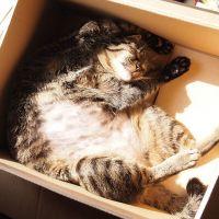 sara0305 会員画像