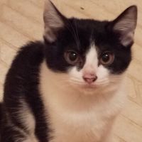 会員画像