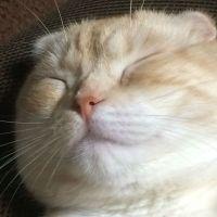 たんみー 会員画像