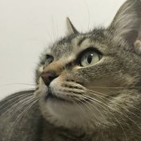 会員画像
