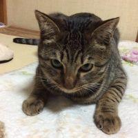 みいしゃん 会員画像