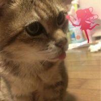 会員画像