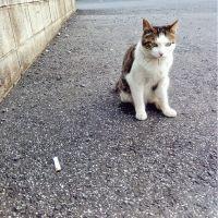 会員画像