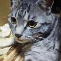 会員画像