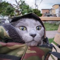 るんちゃんのママ 会員画像