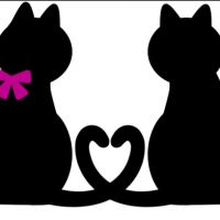 いしねこちゃん 会員画像