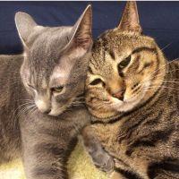 えにし 会員画像