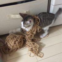 おてんばくうさん 会員画像
