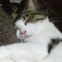 ともつね 会員画像