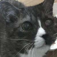 会員画像