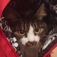 おあす 会員画像