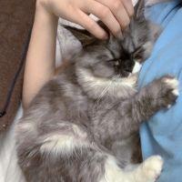 ジャックハニー 会員画像