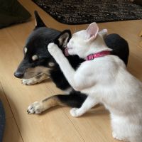 会員画像