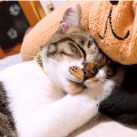 みなのすけ 会員画像