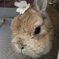 会員画像