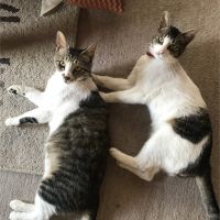 会員画像