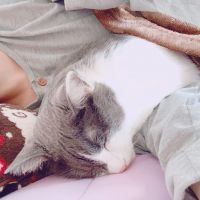 モコ00 会員画像
