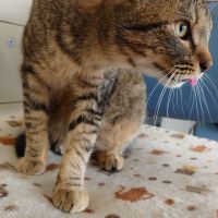 バーニィさん
