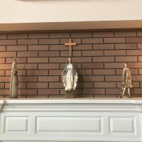 猫ちゃん愛さん