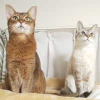 会員画像