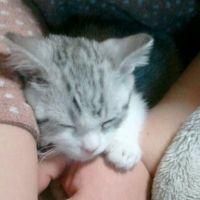 蓮ママ✤さん