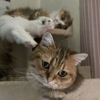 ぽっけまるさん