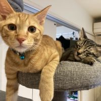 michi0510 会員画像