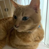 たっくん56さん