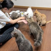 チャコトラさん