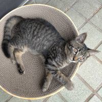 テラちゃんさん