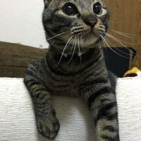 会員画像