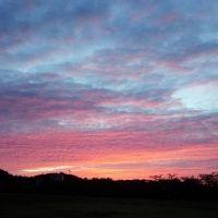 ゆめママ 会員画像