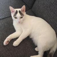 ぜんにもんさん