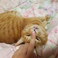 おっふぃ 会員画像