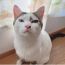 Aya_k_95