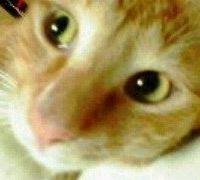 もず子 会員画像