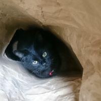 かれんタン 会員画像