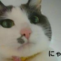会員画像