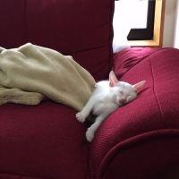 ゆみちー 会員画像