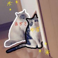 会員画像