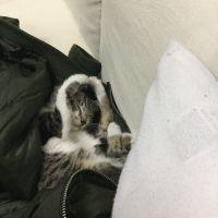 会員画像