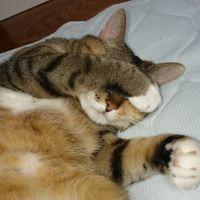 まぁち♪ 会員画像