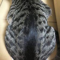マロス 会員画像