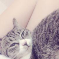 羅夢 会員画像