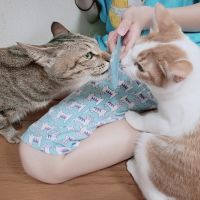 ピノ119 会員画像