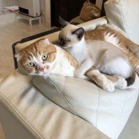 meru &minee 会員画像