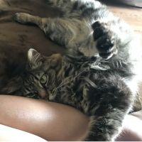 おまるたん 会員画像