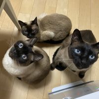 もり1111さん